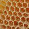 Here is the beehive