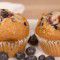 Blueberry muffins