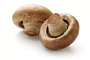 120700768 Mushrooms 300x199 Beef and Guinness pie