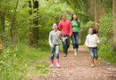 Promenons-nous dans les bois