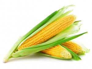 134173335 Sweetcorn 300x225 Chicken and sweetcorn puree