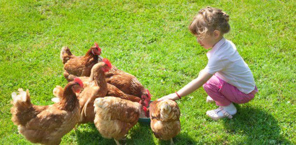 Landsdale Farm School