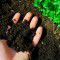 Pica: Unearthing a hidden dietary behavior