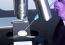 Sperm length variation is not a good sign