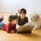 Siblings and pets may reduce egg allergy in infants