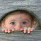 Peek-a-boo