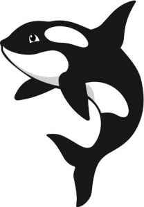 149387091 1493870911 208x300 Tohora nui (The big whale)