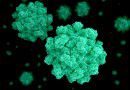 Norovirus is now the leading cause of severe gastroenteritis in US children
