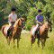 Horse ride