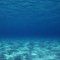 Taniwha (mythical monster) song