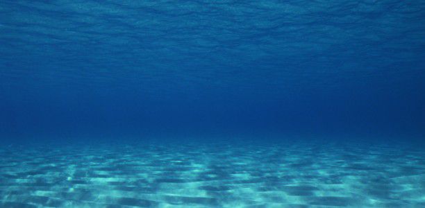 Taniwha (mythical monster) song