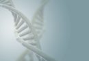Finding genes for childhood obesity