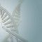 Genetic test predicts risk for Autism