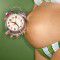 Pregnancy duration predicts stress response in the first months of life