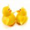 Two little dickie birds