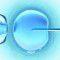 First births from time-lapse incubator use for in vitro fertilization