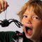 Incy wincy spider