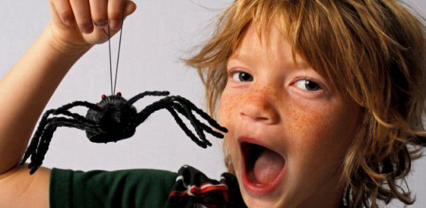 Spider puppet
