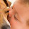 My dog Wags