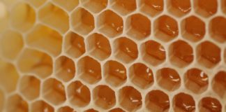 A close up of honey comb.