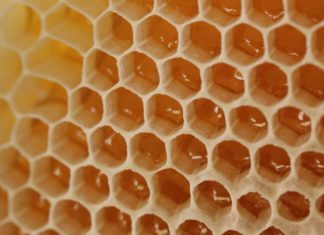 A close up of honey comb.