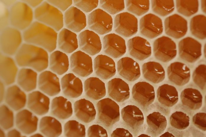 A close up of honey comb.