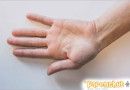 PH-fine-motor-skills-fingers-palm