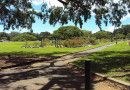 New_Farm_Park_1_highres
