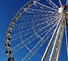 The-Wheel-of-Brisbane-zoom_left_thumb_100x100