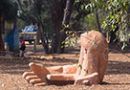 Mundaring-sculpture-park-2-small