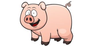pig cartoon image