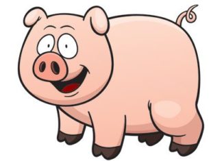 pig cartoon image