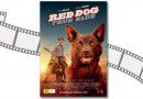 red-dog-true-blue-612×300