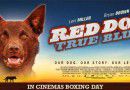 red-dog-true-blue-612×300-v2