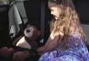 Child putting seatbelt on bear