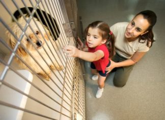 Animal shelter