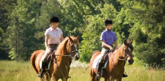 A boy and a girl riding horses slowly through the grass.