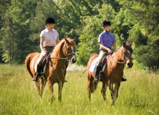 A boy and a girl riding horses slowly through the grass.