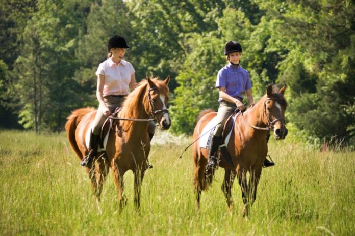 A boy and a girl riding horses slowly through the grass.