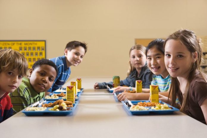 Students eating lunch in cafeteria, portrait.