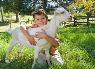 Boy hugging a goat on a lovely field of green.