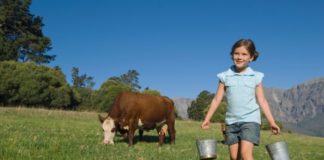 A girl carries two tin pails. There is a cow in the background eating grass.