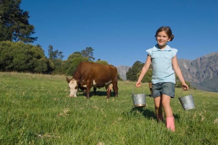 A girl carries two tin pails. There is a cow in the background eating grass.