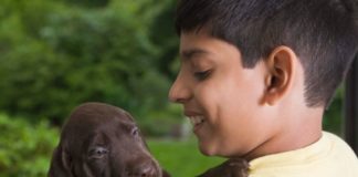 Boy with labrador puppy