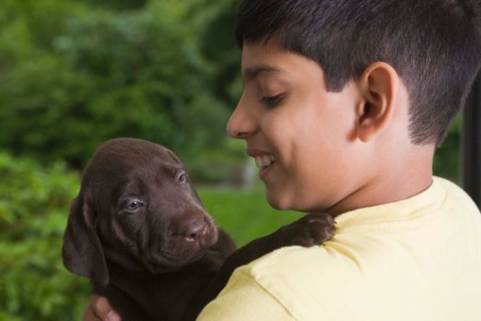 Boy with labrador puppy