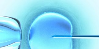 A needle penetrates an egg. IVF.