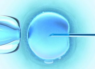 A needle penetrates an egg. IVF.
