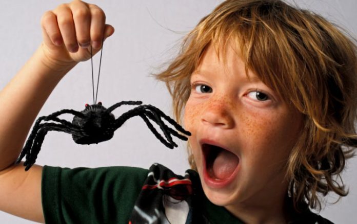 Boy with big toy spider.