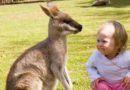 Little girl and small kangaroo