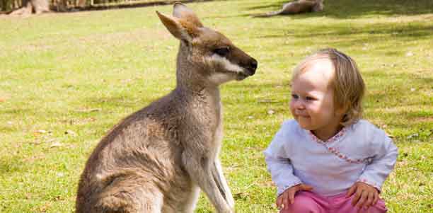 little girl with a kangaroo